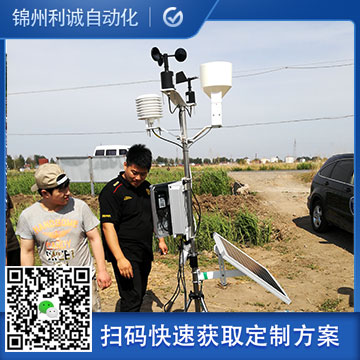 小型農業蜜桃视频在线免费看