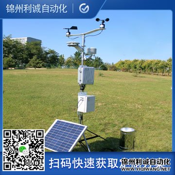 自動蜜桃视频在线免费看