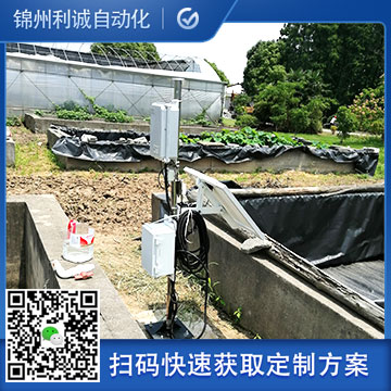 農業蜜桃视频在线免费看