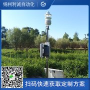 訂做公園蜜桃视频在线免费看