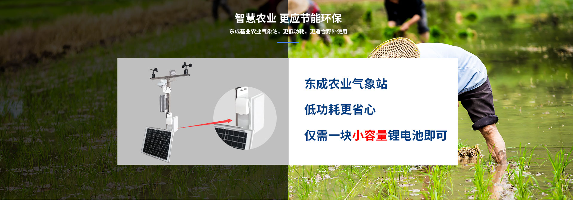 農業蜜桃视频在线免费看