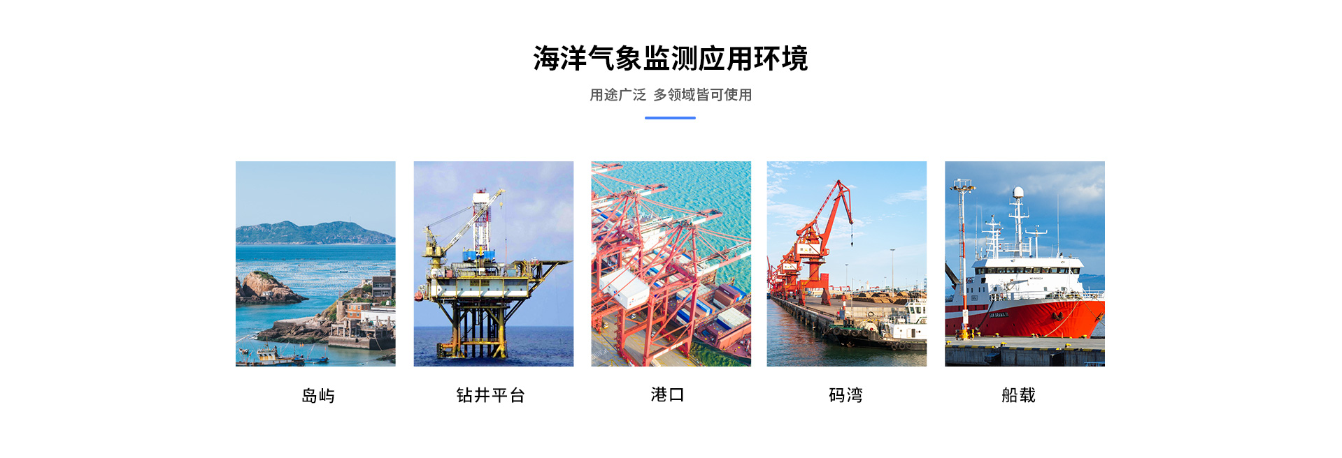 海洋蜜桃视频在线免费看
