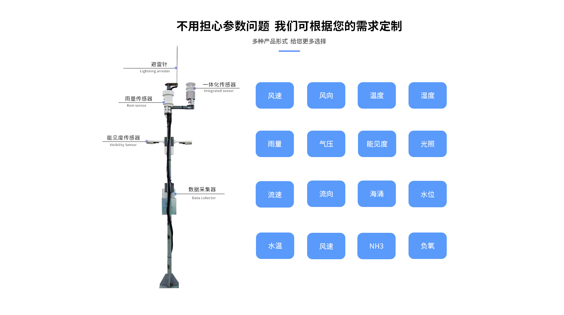 海洋蜜桃视频在线免费看