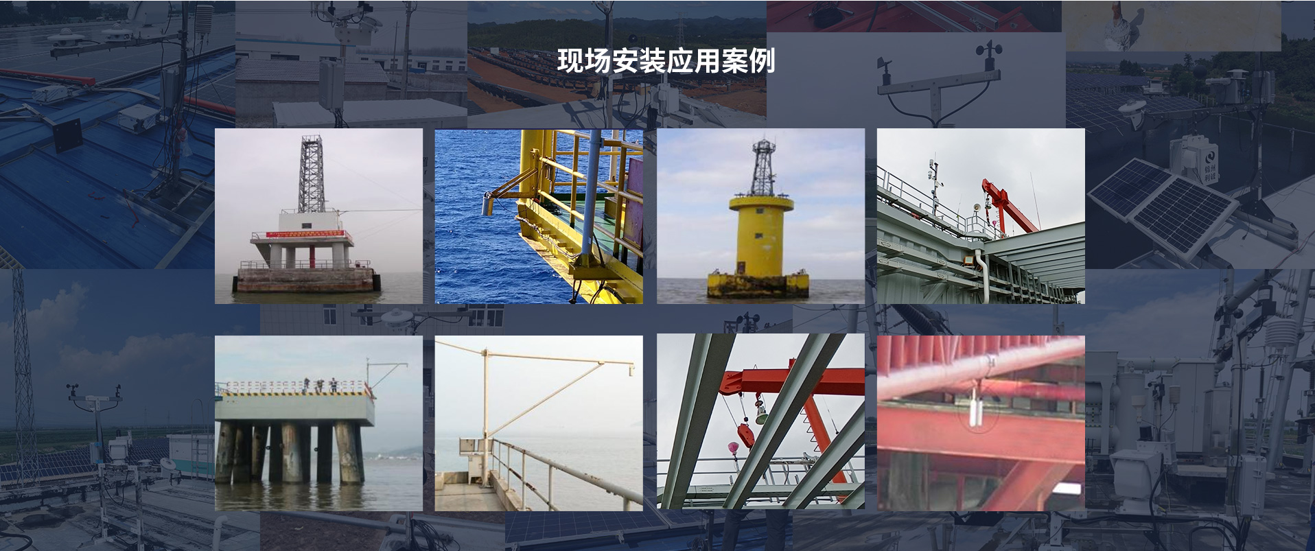 海洋蜜桃视频在线免费看