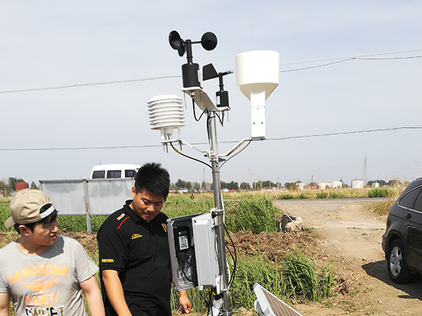 6要素森林蜜桃视频在线免费看森林防火
